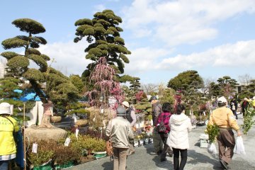 🏞️ 구마모토현 농업공원 컨트리 파크 이미지 8